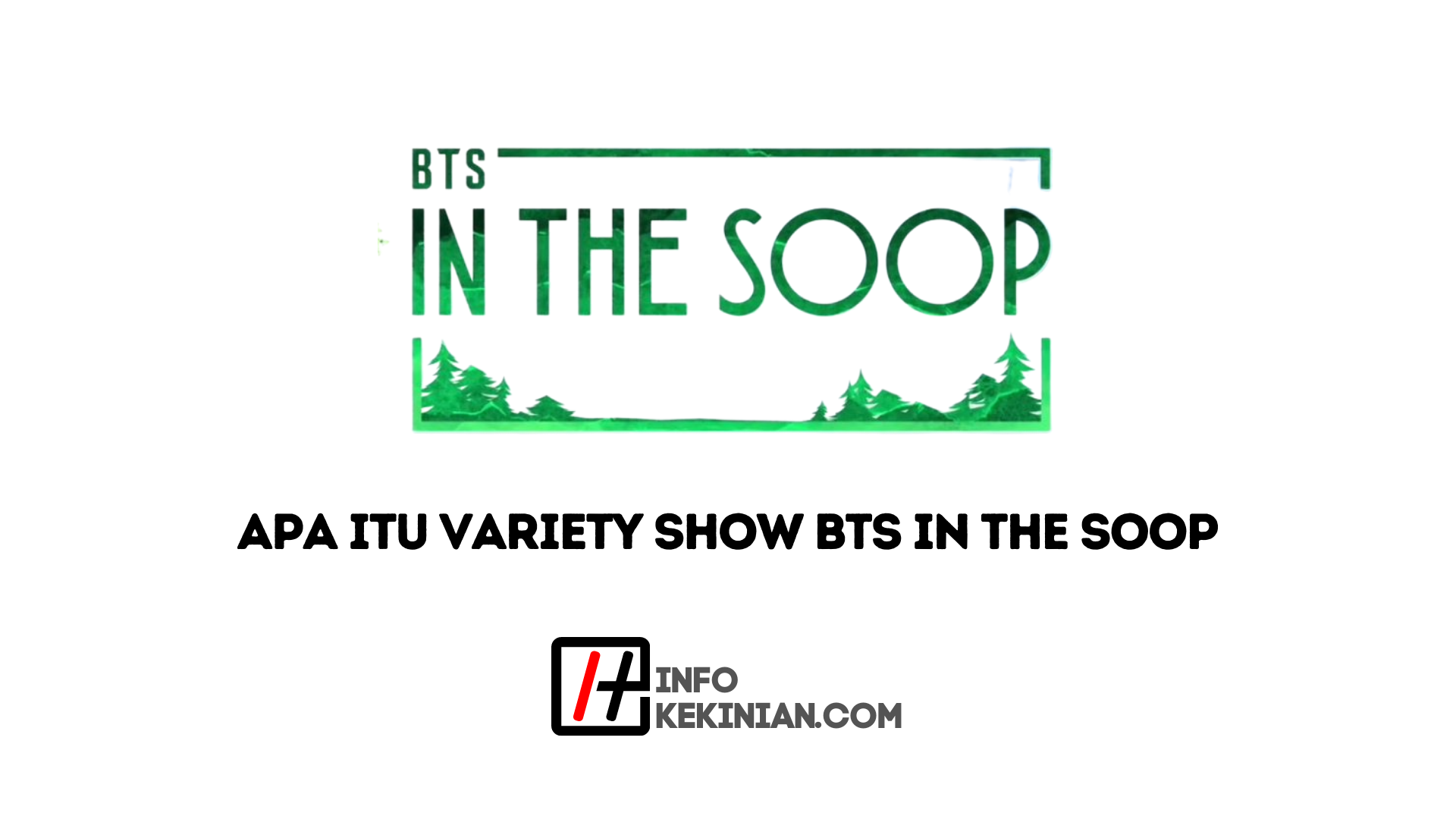 Apa itu Variety Show BTS in The Soop