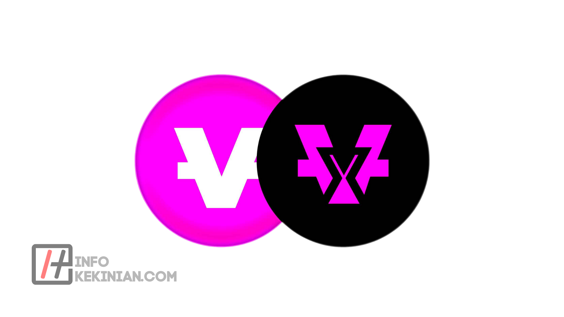 ¿Qué son las vidycoins? Diferencia entre fichas Vidy y VidyX