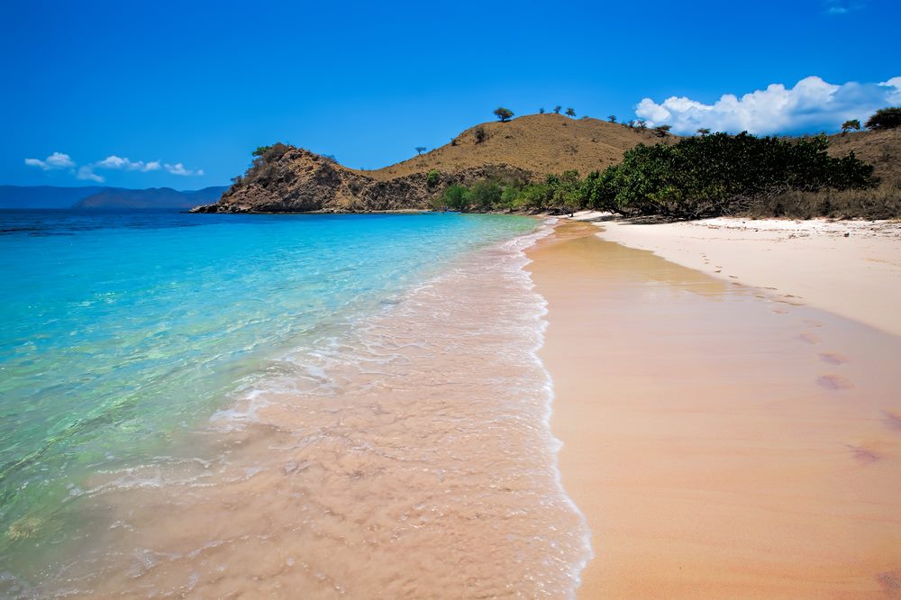 Pantai Pink, Pulau Komodo