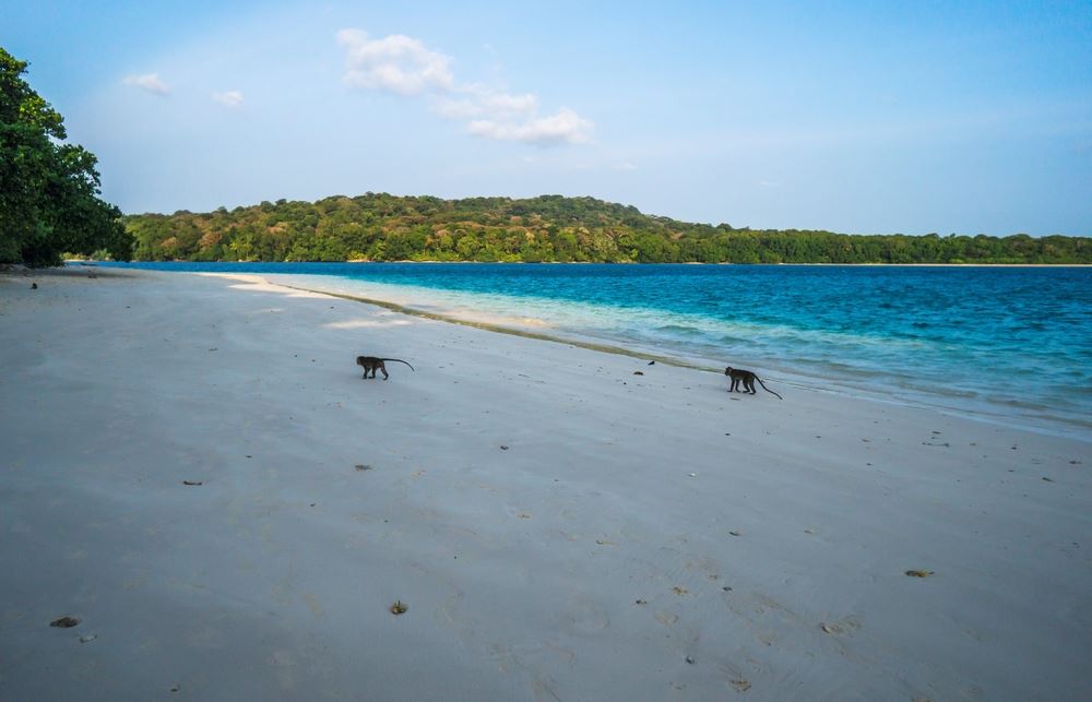 Pantai Pulau Peucang