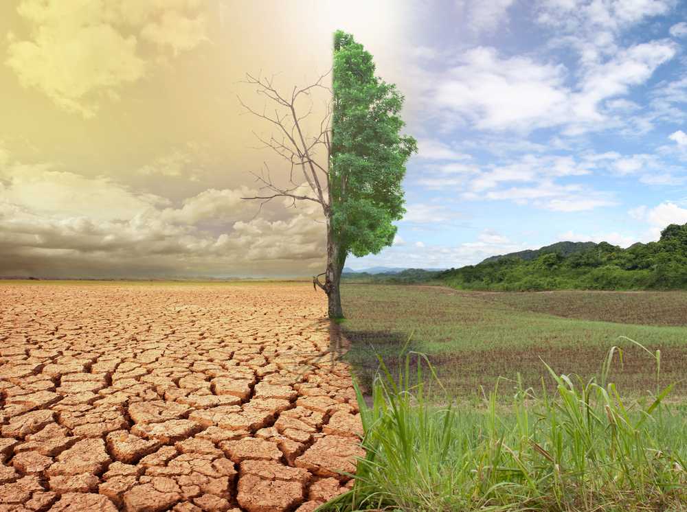 Global Warming