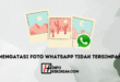 Mengatasi Foto WhatsApp Tidak Tersimpan