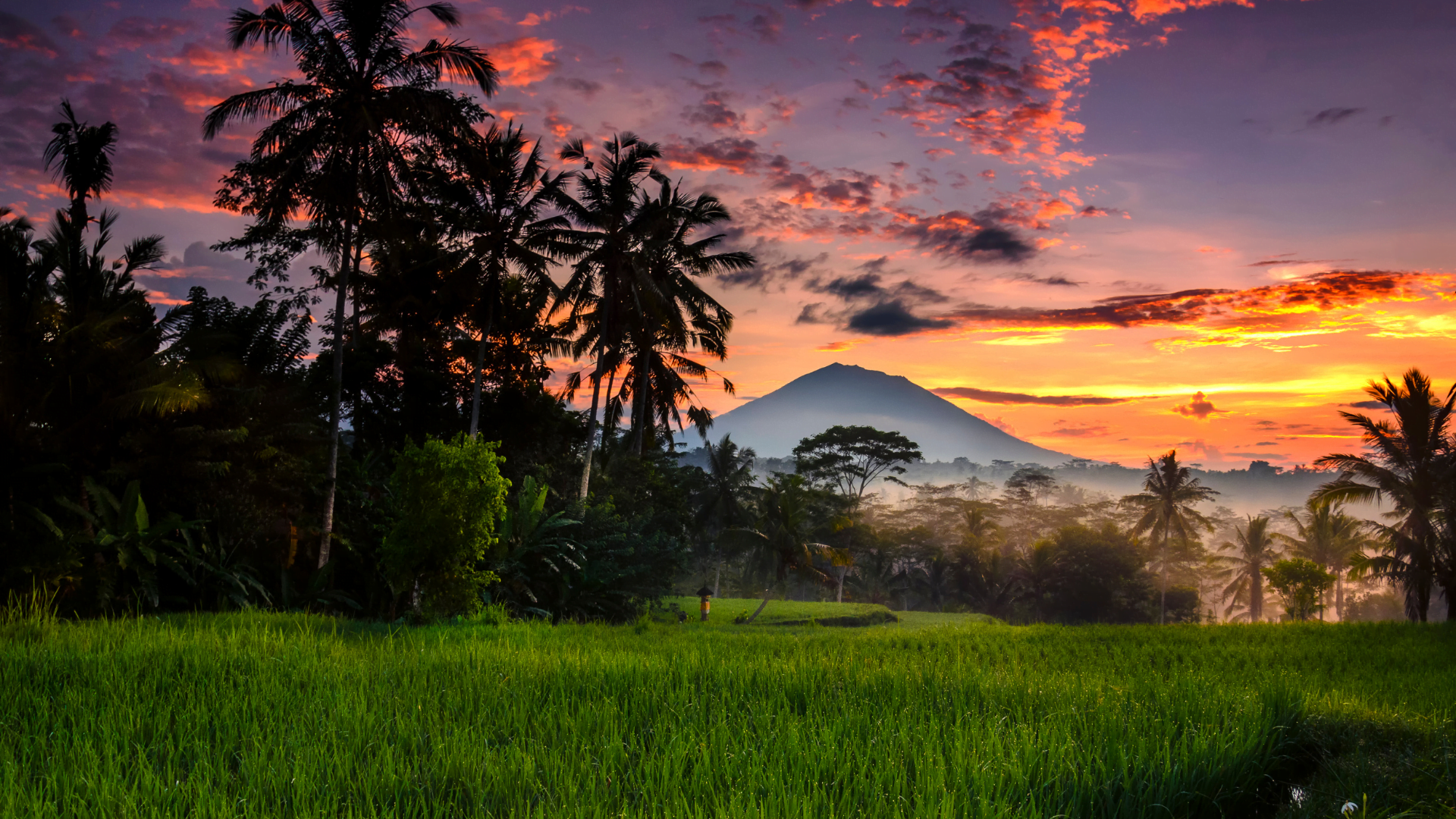 Example of a Short but Interesting School Vacation Essay 9 Touring Ubud on School Holidays