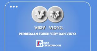 Tentang Vidy Coin