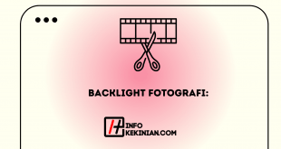 Backlight Fotografi Tips untuk Membuat Backlight