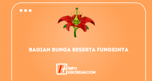 Berikut ini Bagian Bunga Beserta Fungsinya