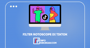 Filter Rotoscope di TikTok ini cara menghilangkannya