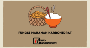 Fungsi Makanan Karbohidrat