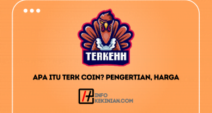 Harga Terkehh Coin