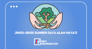 Jenis-Jenis Sumber Daya Alam Hayati