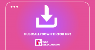 Pengertian serta Kelebihan dan Kekurangan MusicallydownTiktok MP3