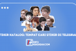 Tentang Telegram Sticker Catalogue