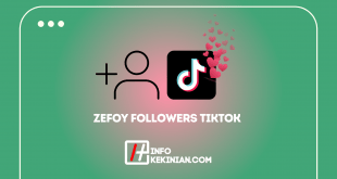 Zefoy.com Free Followers Tiktok
