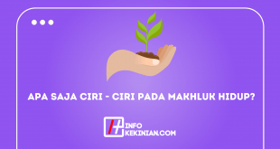 Apa Saja Ciri - Ciri Pada Makhluk Hidup_