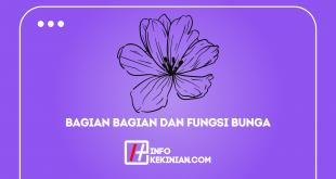 Bagian Bagian dan Fungsi Bunga