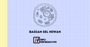 Bagian Sel Hewan