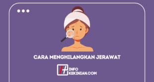 Cara Menghilangkan Jerawat