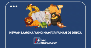 Hewan Langka yang Hampir Punah di Dunia