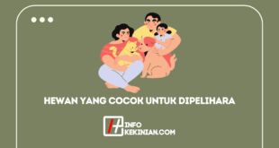 Hewan yang cocok untuk dipelihara di rumah