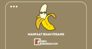 Inilah Manfaat Buah Pisang Untuk Kesehatan