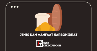 Jenis dan Manfaat Karbohidrat Bagi Tubuh