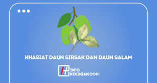 Khasiat Daun Sirsak Dan Daun Salam