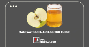 Manfaat Cuka Apel untuk Tubuh