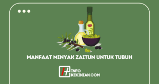 Manfaat Minyak Zaitun Untuk Tubuh