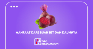 Manfaat dari Buah Bit dan Daunnya