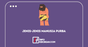 Mengenal Jenis-jenis Manusia Purba