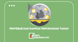 Penyebab dan Dampak Pencemaran Tanah