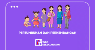 Perbedaan Pertumbuhan Dan Perkembangan Pada Manusia