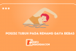 Posisi Tubuh Pada Renang Gaya Bebas