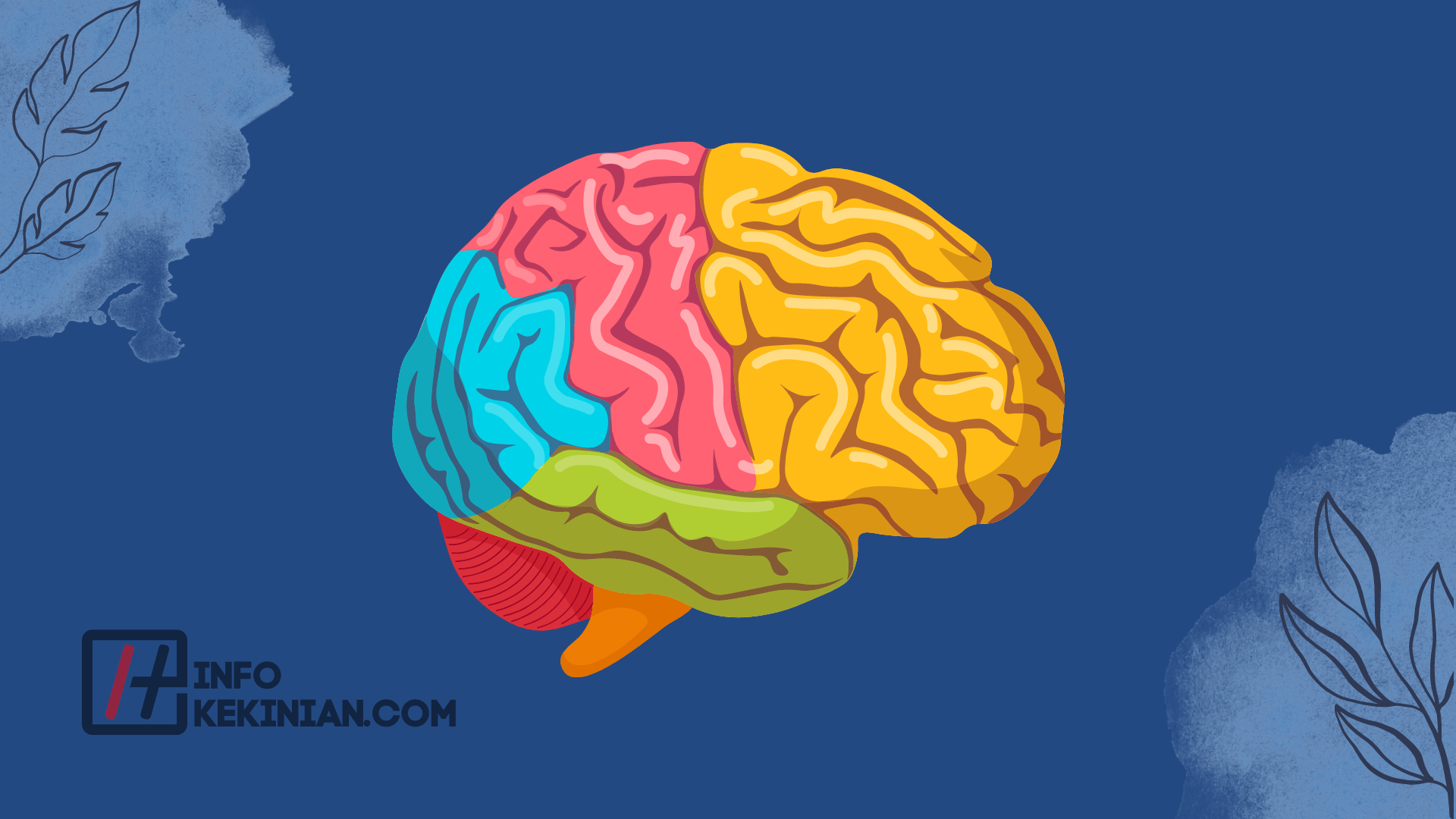 Struktur Anatomi Otak Manusia dan Fungsinya