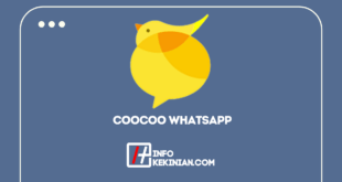 Coocoo WhatsApp