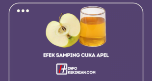 Efek Samping Cuka Apel