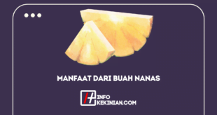 Manfaat Dari Buah Nanas