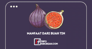 Manfaat Dari Buah Tin Untuk Ibu Hamil