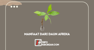 Benefits Of African Leaves