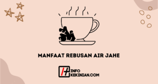 Manfaat Rebusan Air Jahe Untuk Tubuh