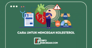 cara untuk mencegah kolesterol