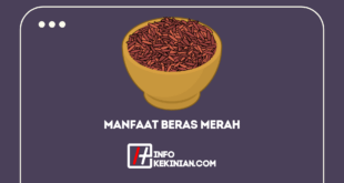 manfaat beras merah untuk tubuh