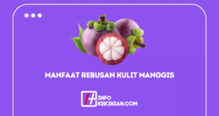 manfaat rebusan kulit manggis