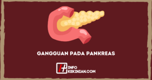 Gangguan Pada Pankreas