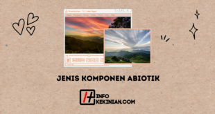 Jenis-Jenis Komponen Abiotik