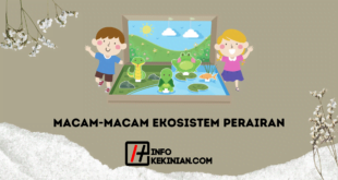 Macam-Macam Ekosistem Perairan