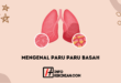 Mengenal Paru Paru Basah