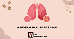 Mengenal Paru Paru Basah