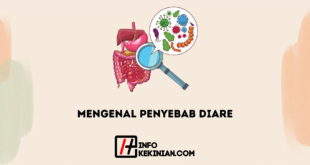 Mengenal Penyebab Diare