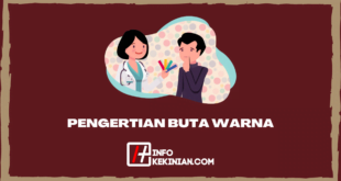 PENGERTIAN BUTA WARNA